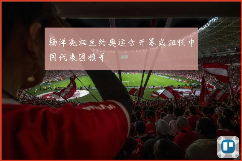 杨洋亮相里约奥运会开幕式担任中国代表团旗手